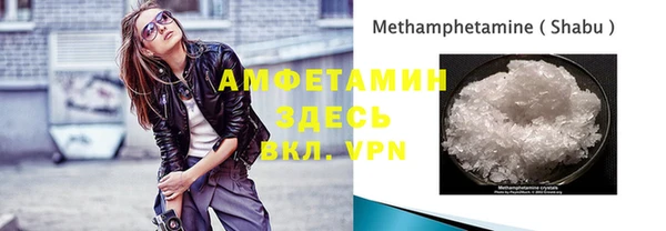 индика Мегион