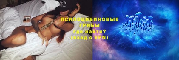 индика Мегион
