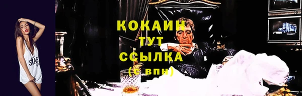 гидра Медвежьегорск