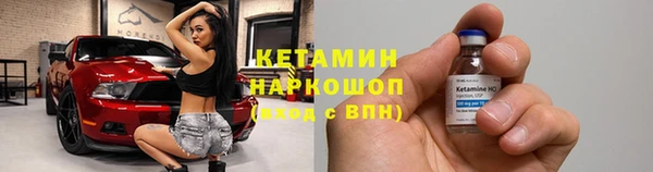 индика Мегион