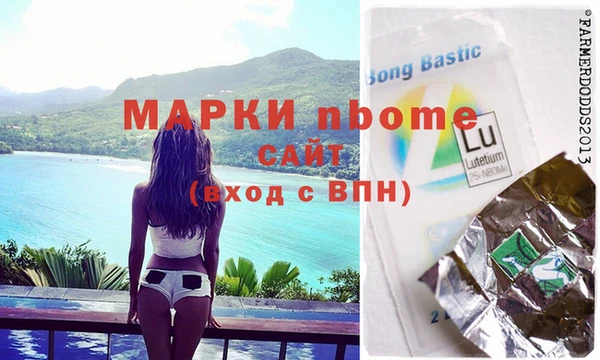 индика Мегион