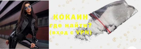 индика Мегион