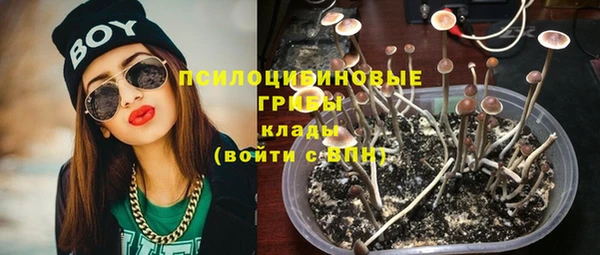 индика Мегион
