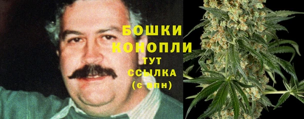 индика Мегион