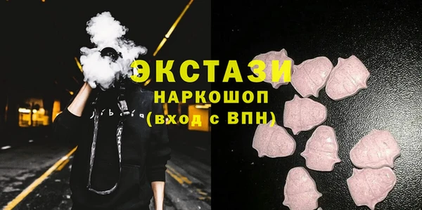 индика Мегион