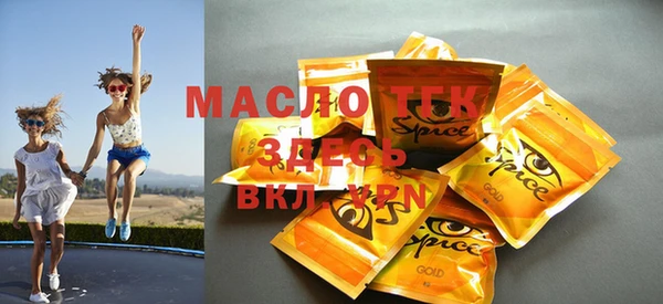индика Мегион