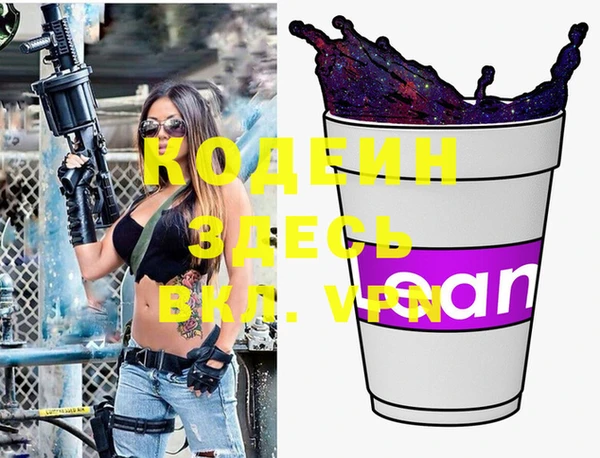 индика Мегион
