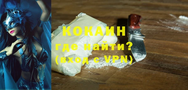 индика Мегион