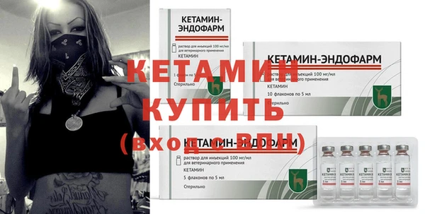 индика Мегион
