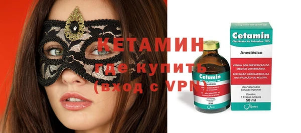 индика Мегион