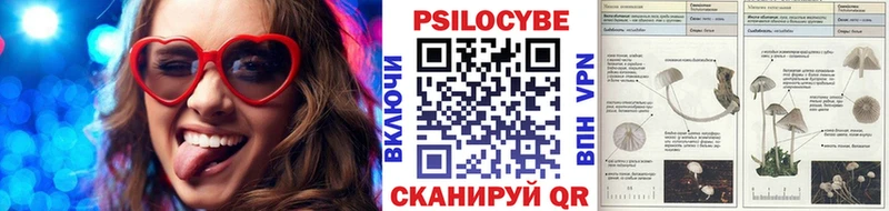цены наркотик  Крым  Псилоцибиновые грибы GOLDEN TEACHER 